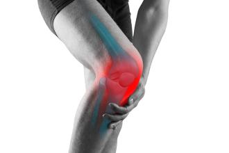 Does Cartilage Regenerate on Its Own?