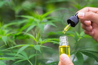 The Amazing Benefits of Using CBD
